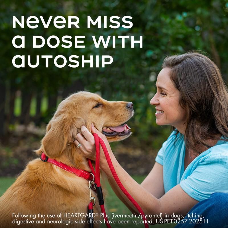 Heartgard Plus Chewables for Dogs