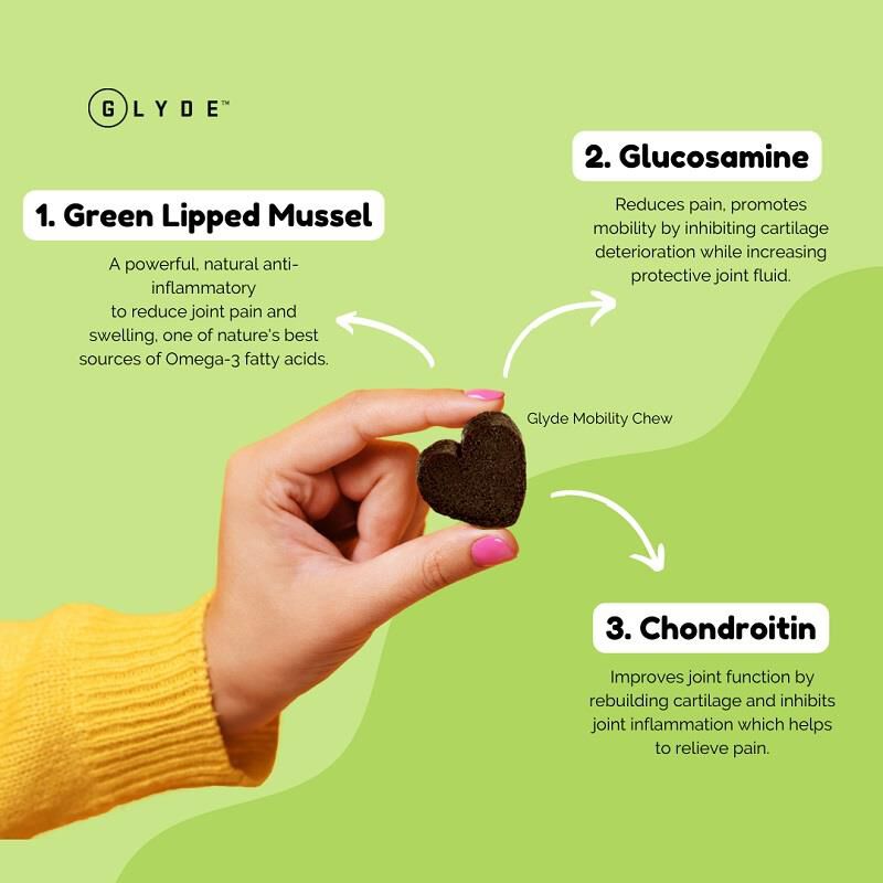 Glyde Mobility Chews for Dogs