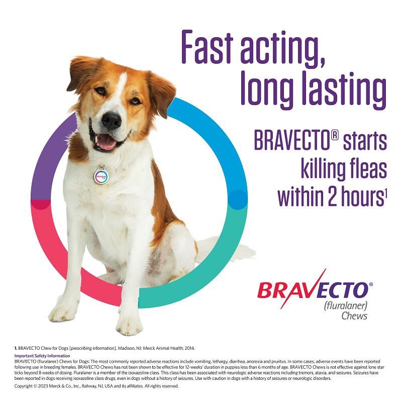 Bravecto Chews Free 2 Day Shipping AKCPetRx