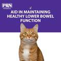 PRN Pharmacal, Inc. Pet-Ema Feline for Cats with Constipation, 125 mg, 6 ml