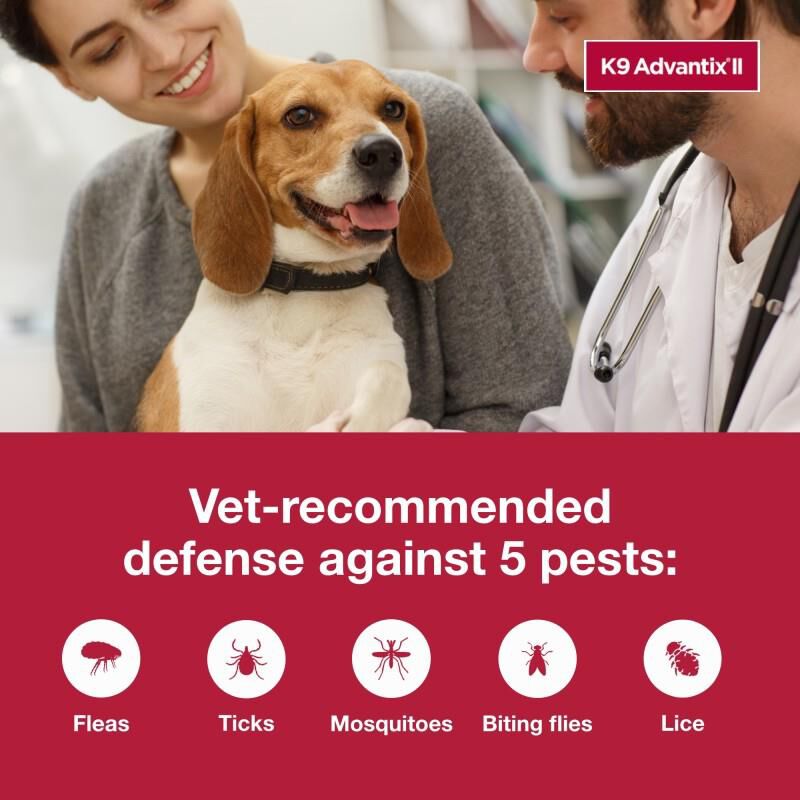 K9 Advantix II for Dogs Free 2 Day Shipping AKCPetRx