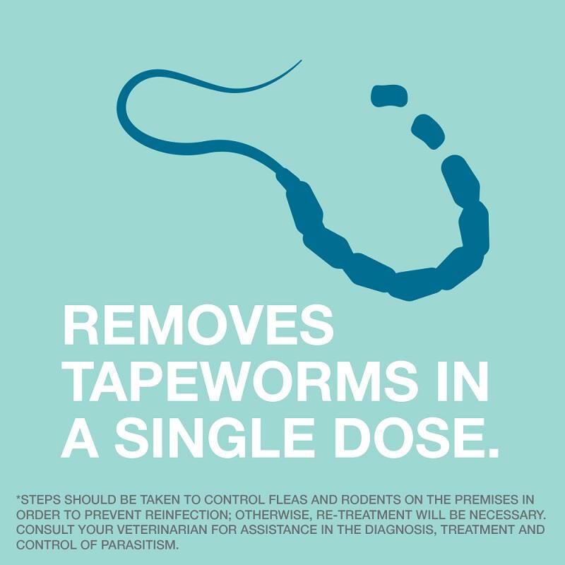 Bayer tapeworm dewormer side effects hot sale