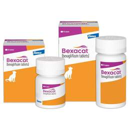 Bexacat (bexagliflozin tablets) for Cats