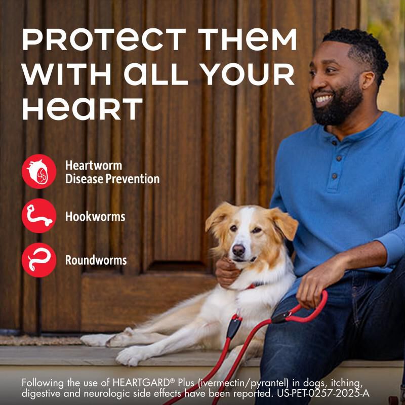 Heartgard Plus Chewable for Dogs 26-50 lbs Green, 6 Month Supply