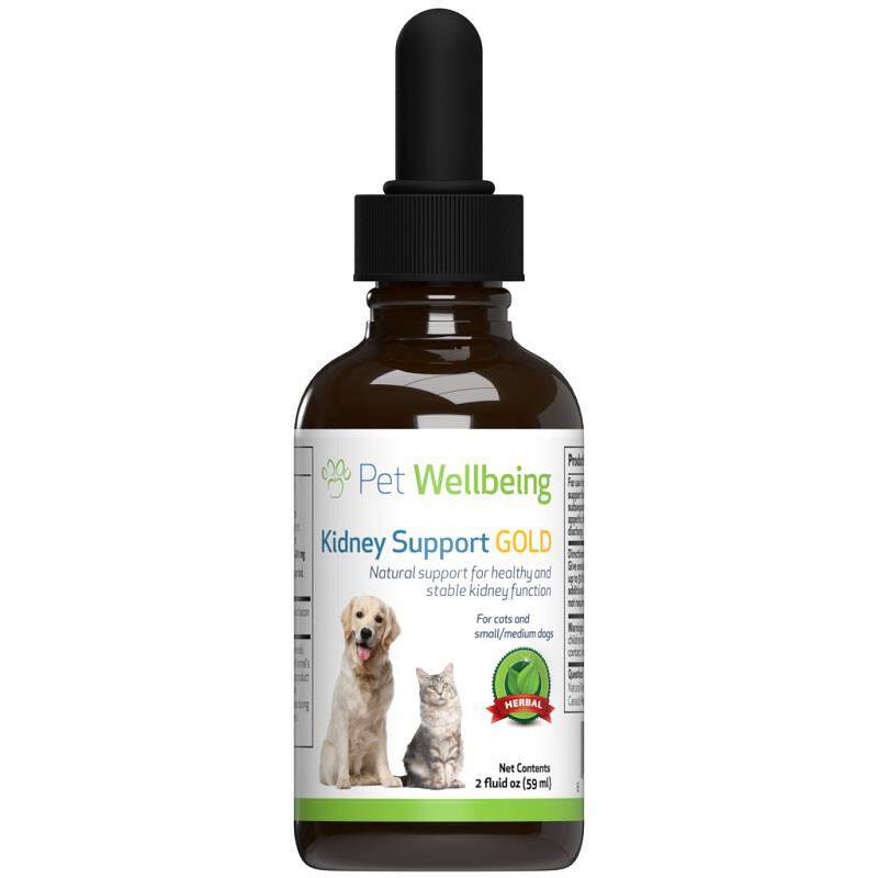 Pet Wellbeing Kidney Support Gold for Dogs