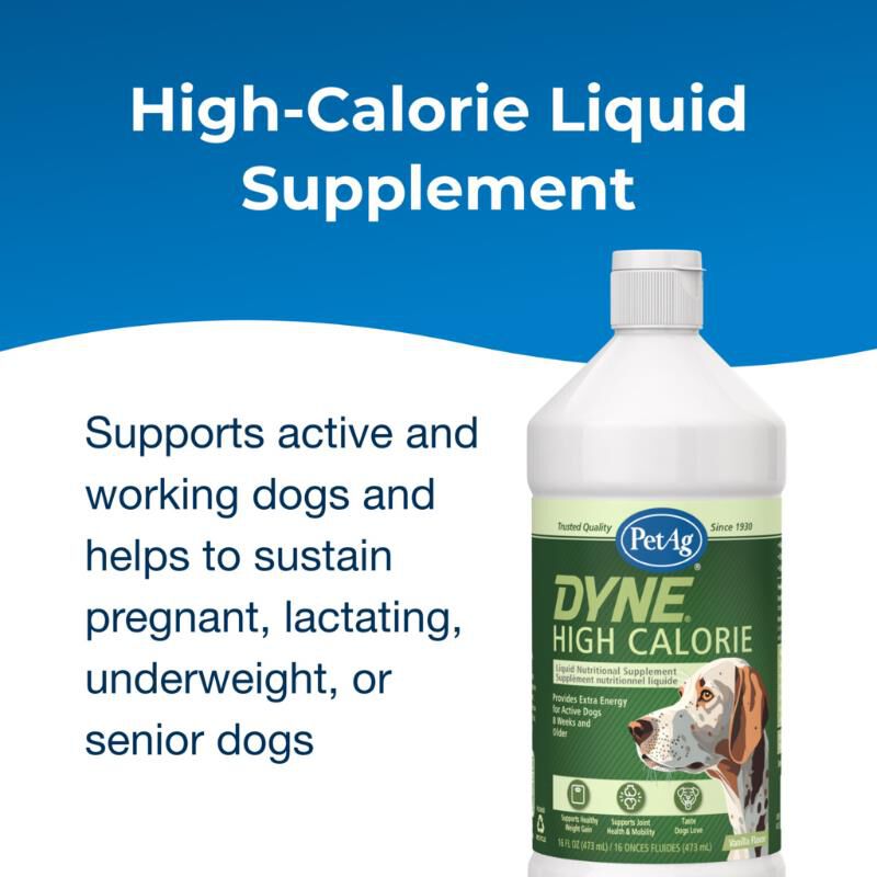 PetAg Dyne High Calorie Liquid Nutritional Supplement for Dogs, 16 oz