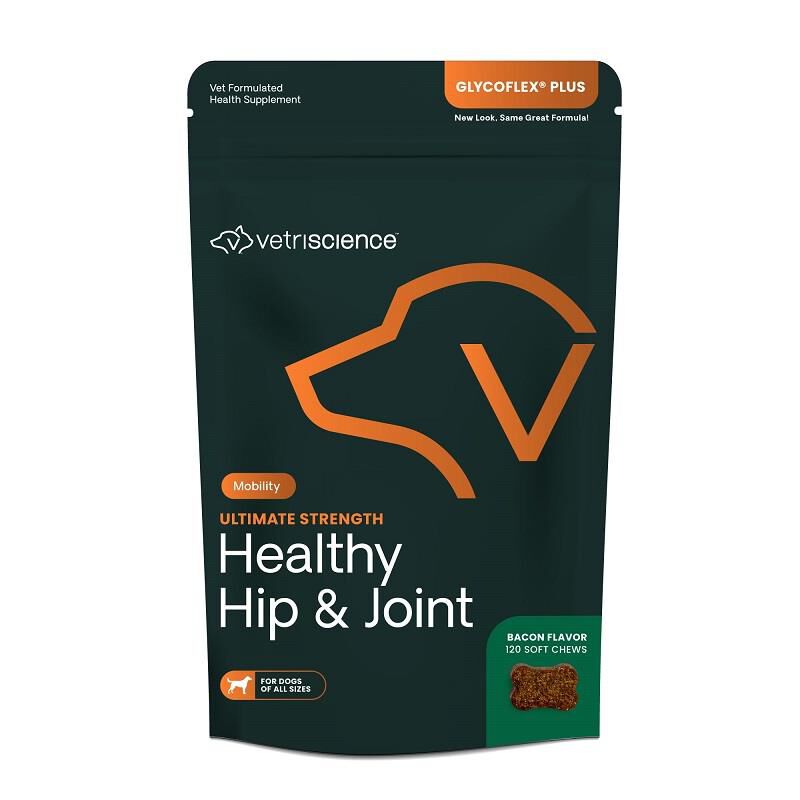 VetriScience Healthy Hip & Joint Glyco-Flex Plus Joint Support for Dogs, 120 Chews