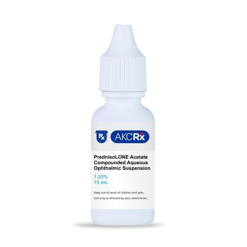PrednisoLONE Acetate Compounded Aqueous Ophthalmic Suspension, 15 ml