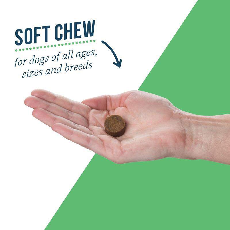 Lactoquil Soft Chews for Dogs, 75 Ct