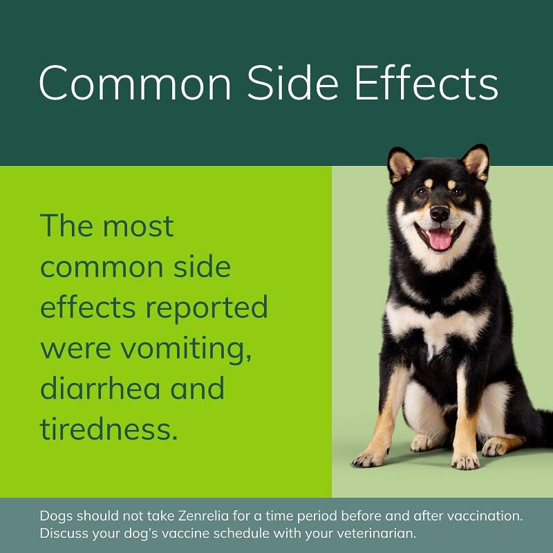 Zenrelia (ilunocitinib) Tablets for Dogs, 15 mg 30 ct