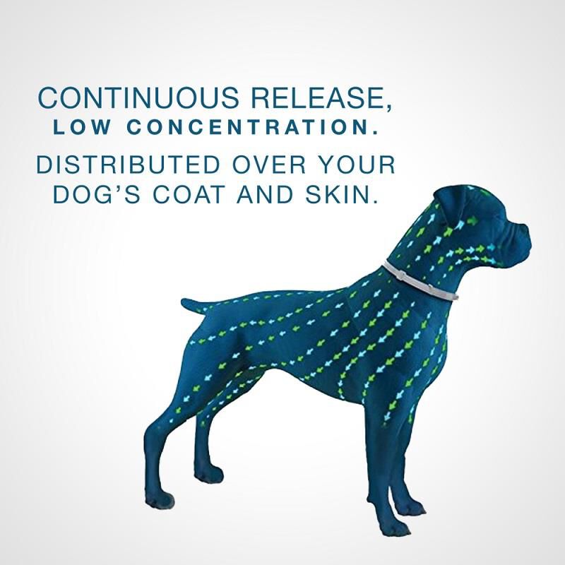 Seresto for Dogs
