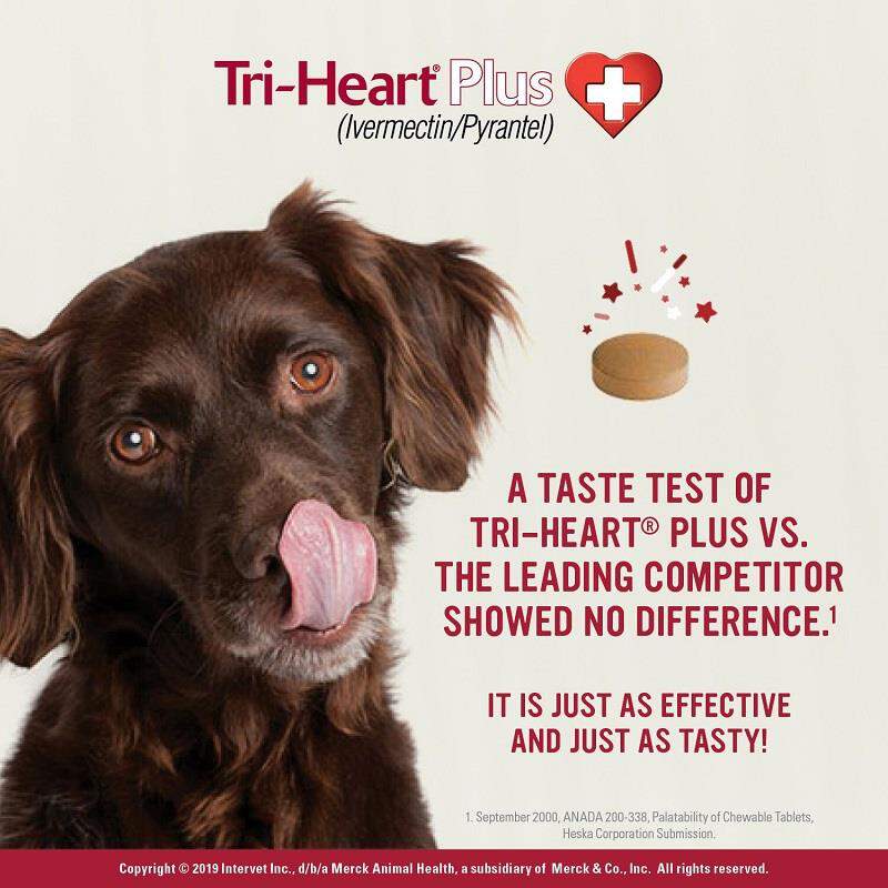 Tri-Heart Plus Chewable Tablets for Dogs