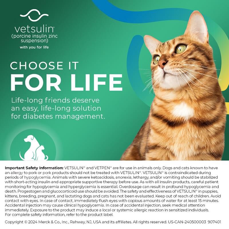 Vetsulin 40 u / ml 10 ml Vial