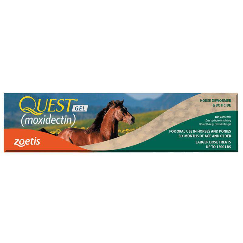 Zoetis Quest Equine Gel for Horses with Worms, 1 syringe, 0.04 ounces