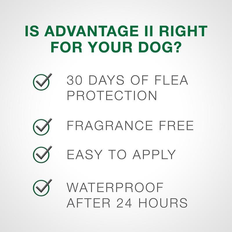 Advantage II for Dogs