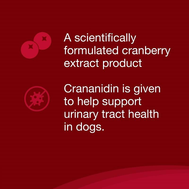 Crananidin for Dogs 75 Ct