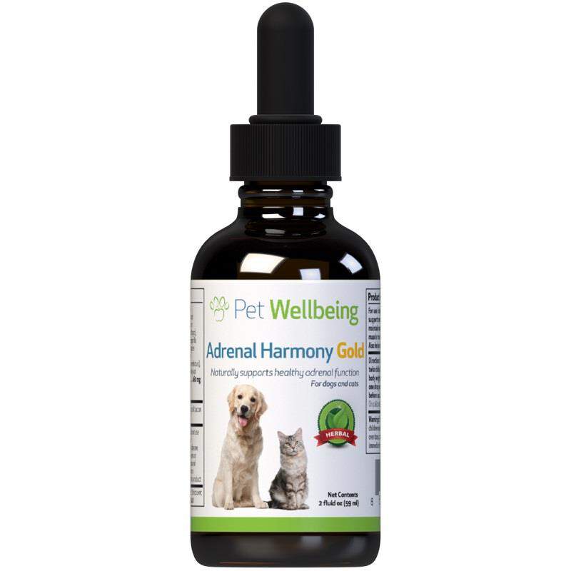 Pet Wellbeing Adrenal Harmony Gold for Dogs and Cats