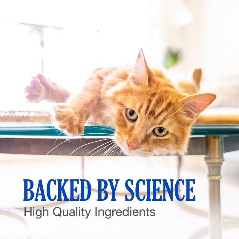 Cobalequin Supplement for Dogs and Cats, 45 Chewable Tablets