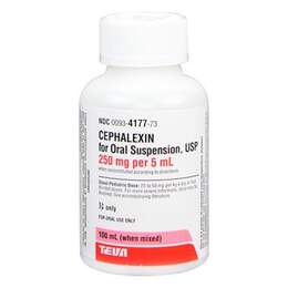 Cephalexin Oral Suspension for Dogs 250 mg/5 ml