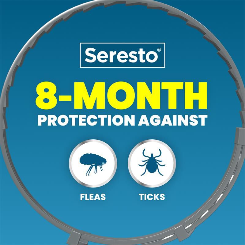 Seresto for Cats with Fleas and Ticks