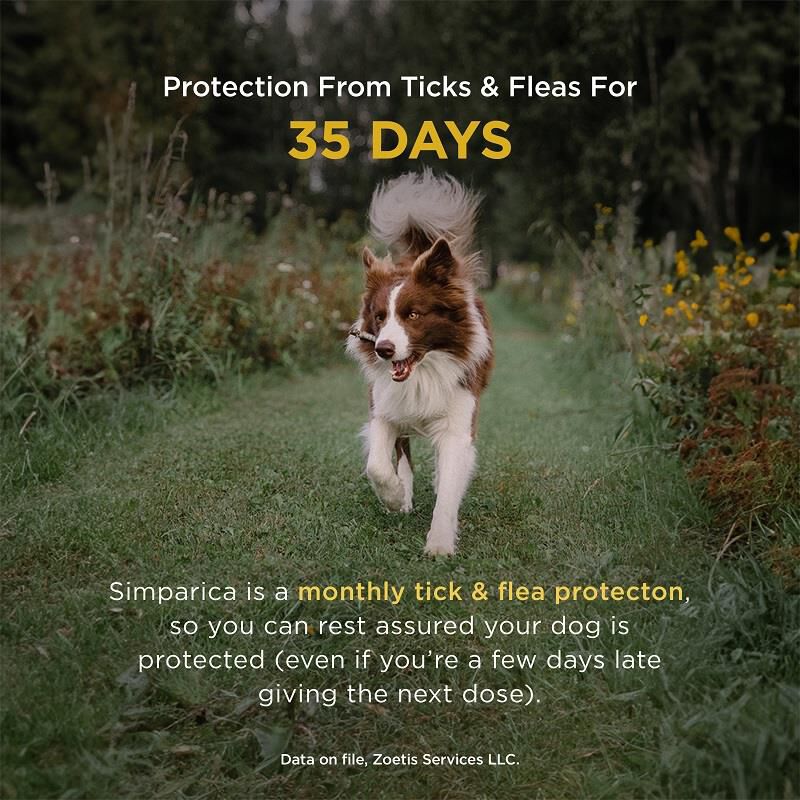 Simparica Chewable Tablets for Dogs 22-44 lbs Blue, 6 Month Supply