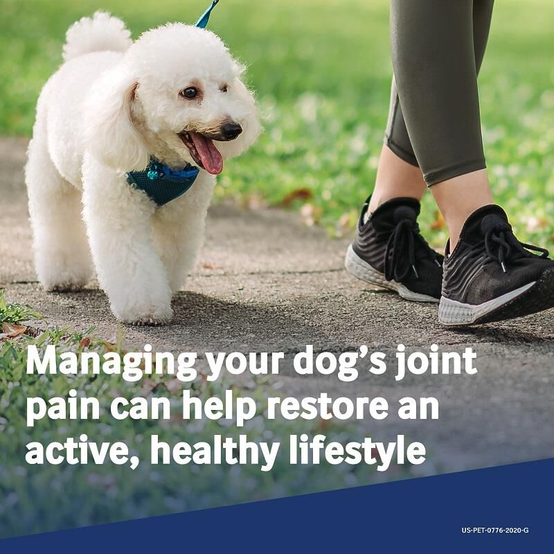 Metacam 0.5 mg/ml Oral Suspension