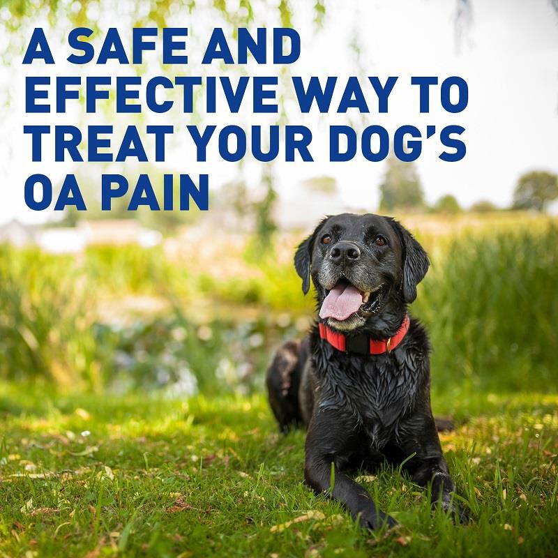 Deramaxx Chewable Tablets for Dogs 25 mg, 60 Ct.
