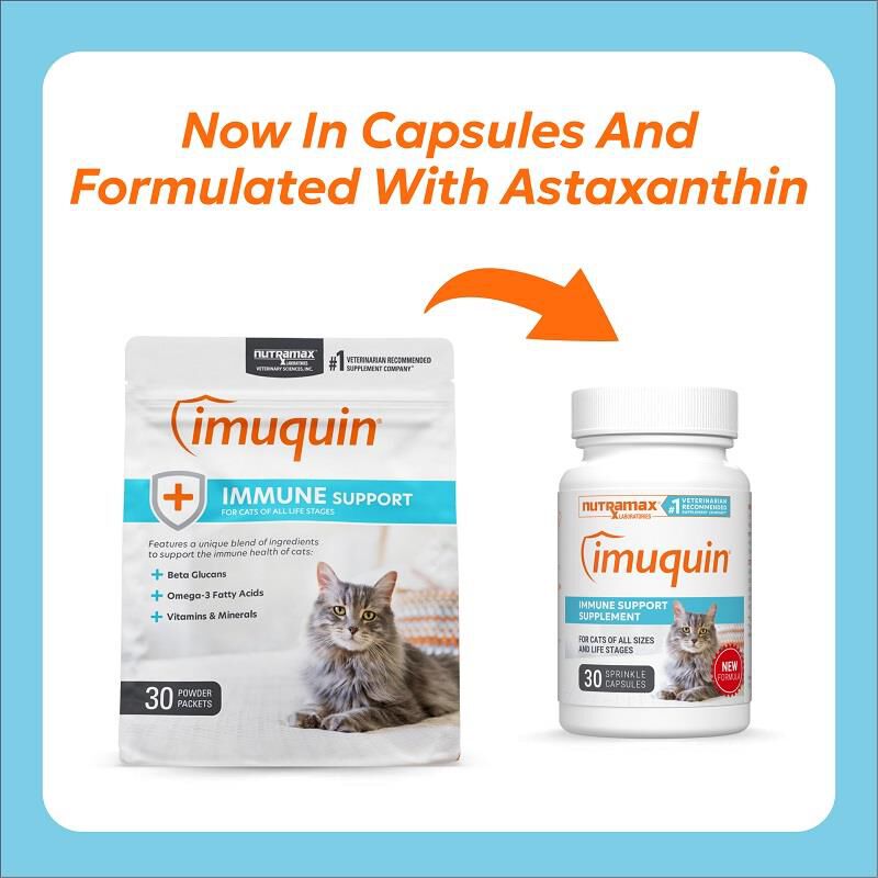 Imuquin Immune Support Supplement for Cats, 30 Sprinkle Capsules