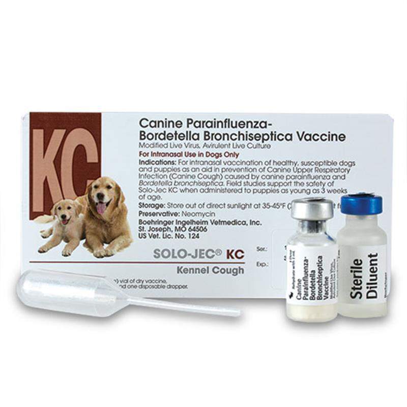 Canine Solo Jec KC Vaccine w/Nasal Dropper, 1 ml Single Dose