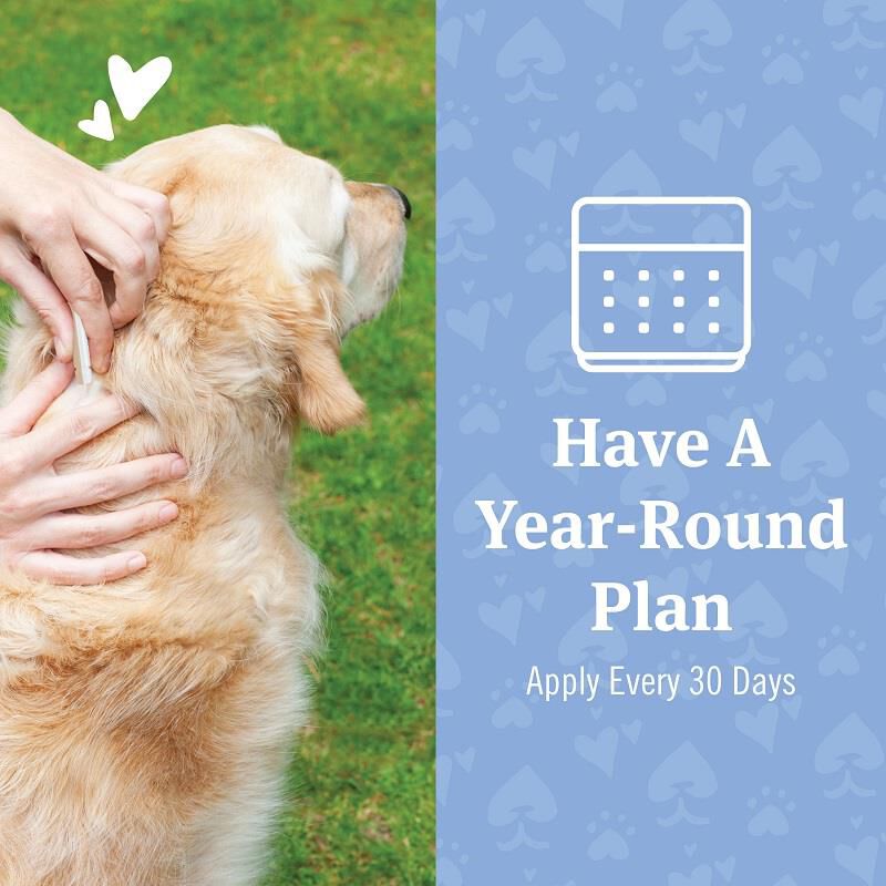 PetArmor Plus for Dogs