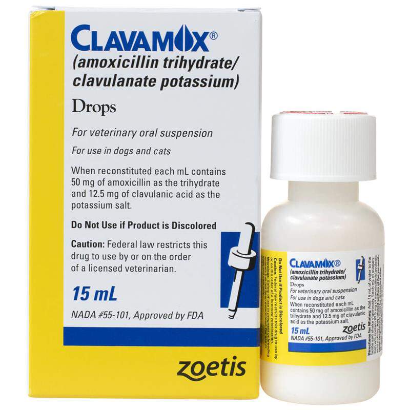 Clavamox Oral Drops 62.5 mg/ml, 15 ml