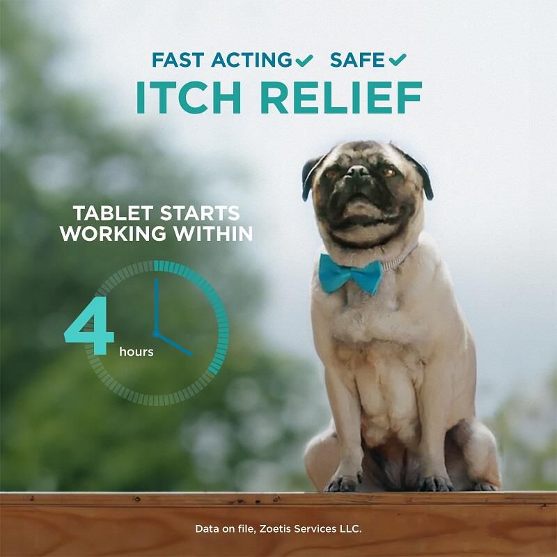 Dog allergy medicine apoquel side effects clearance