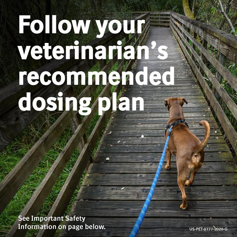 Previcox Chewable Tablets for Dogs