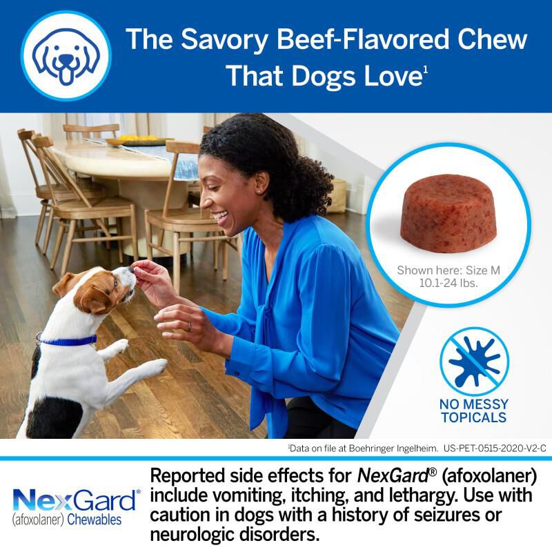 Nexgard for Dogs and Puppies Free 2 Day Shipping AKCPetRx