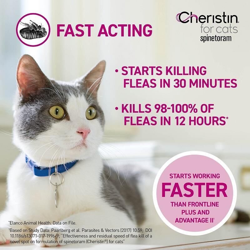 Elanco Animal Health Cheristin for Cats for Fleas