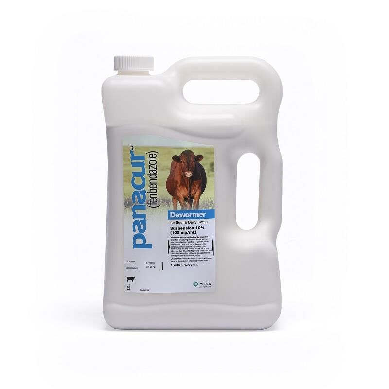 Panacur 10% Suspension Dewormer for Beef & Dairy Cattle, Gallon