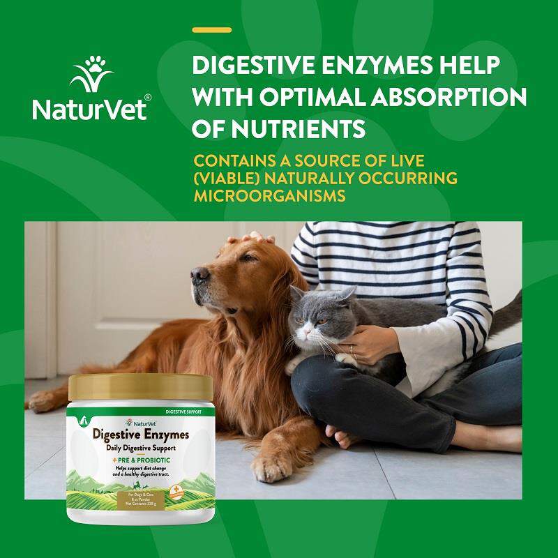 NaturVet Digestive Enzymes Powder