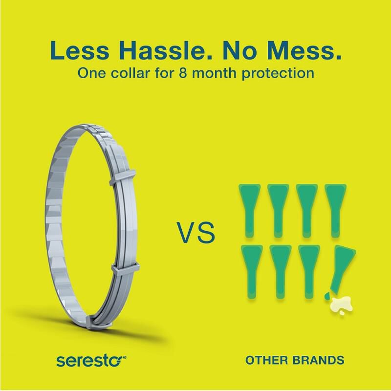 Seresto for Cats with Fleas and Ticks