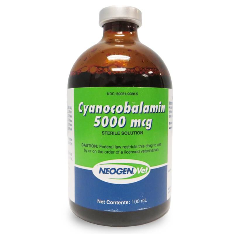 b complex with b12 injection Rx Vitamin B-12 (Generic) Injectable Solution Vitruvias Cyanocobalamin Injection (vitamin B12 complex) is essential to growth Order High Potency Vitamin B