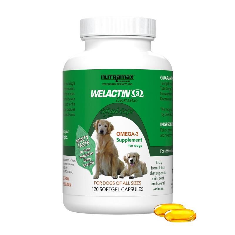 Nutramax Laboratories, Inc. Welactin Canine Softgel Capsules for Dogs, 120 Count