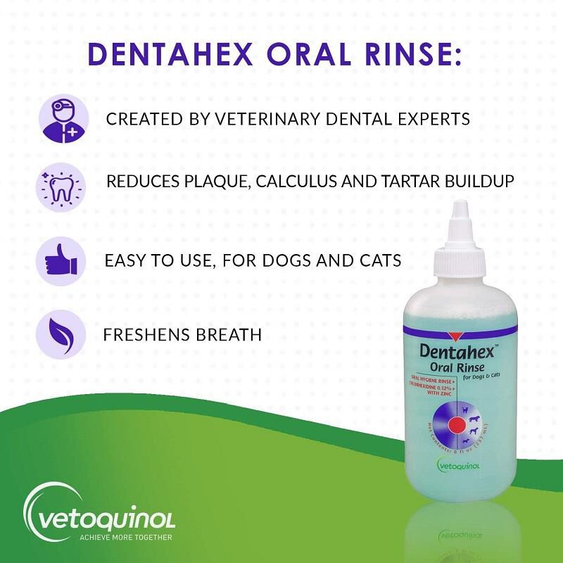 Antibacterial mouth rinse for dogs outlet