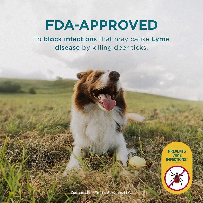 Simparica Chewable Tablets for Dogs | Free 2 Day Shipping | AKCPetRx.com