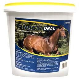 ArthroDynamic Technologies, Inc. Tandem Oral for Horses, 2.4 kilograms