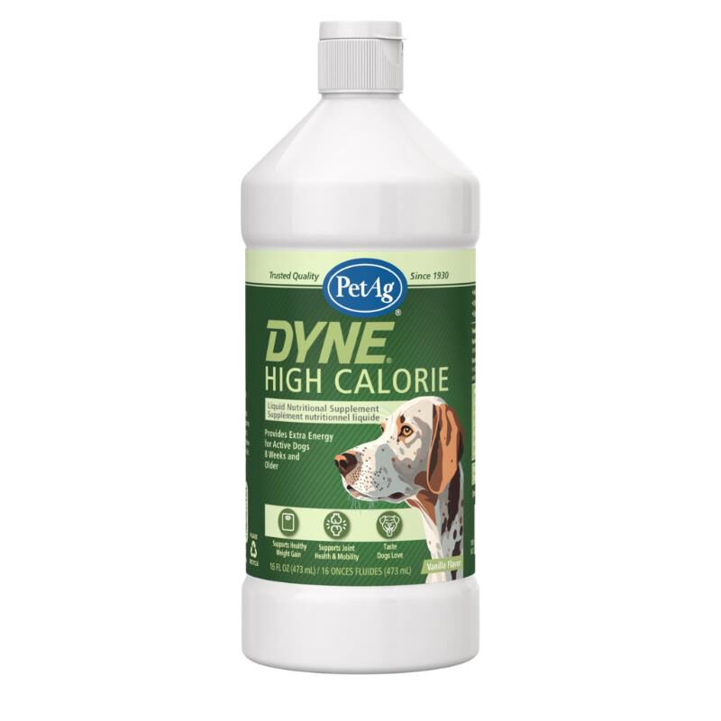 PetAg Dyne High Calorie Liquid Nutritional Supplement for Dogs, 16 oz
