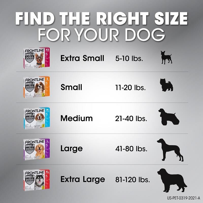 Small dog frontline for large dog cheap