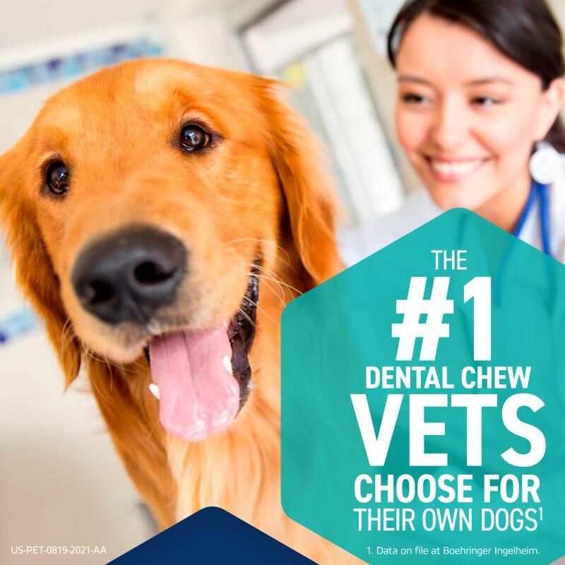 Oravet Dental Chews
