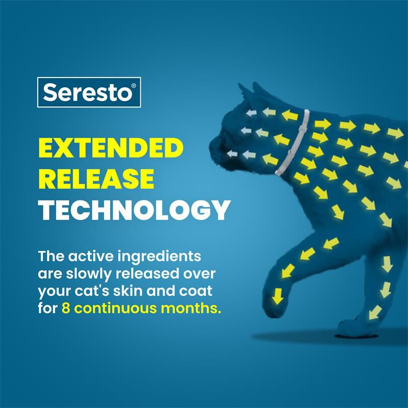Seresto for Cats with Fleas and Ticks
