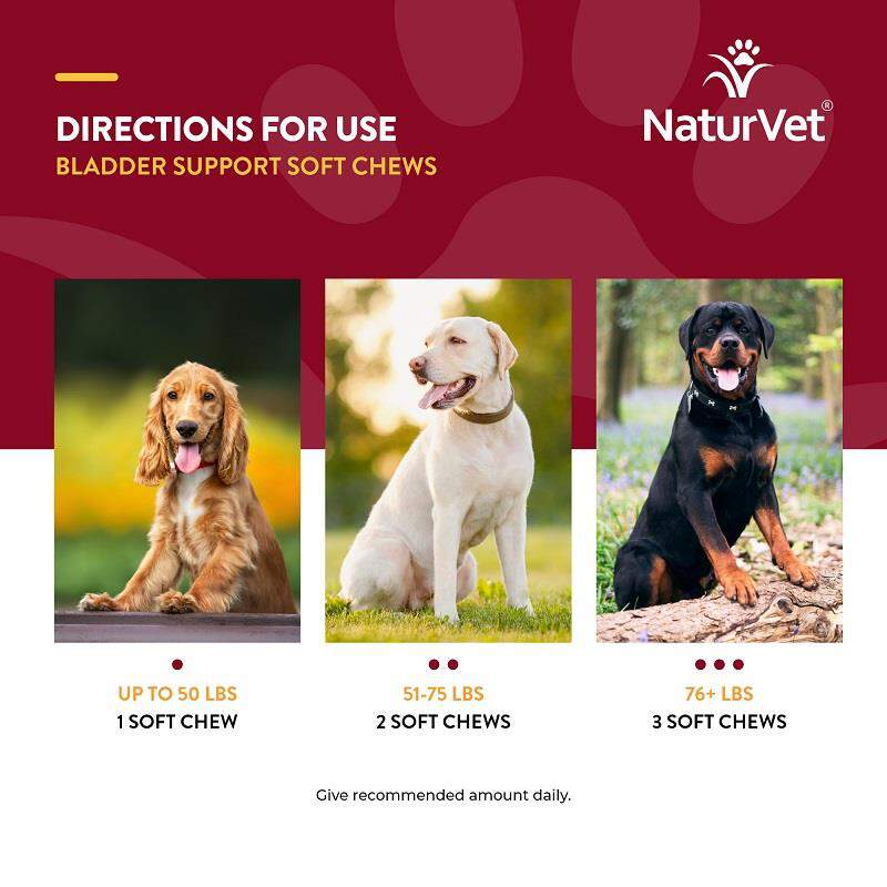 NaturVet Bladder Support Plus Cranberry Soft Chews for Dogs, 60 ct