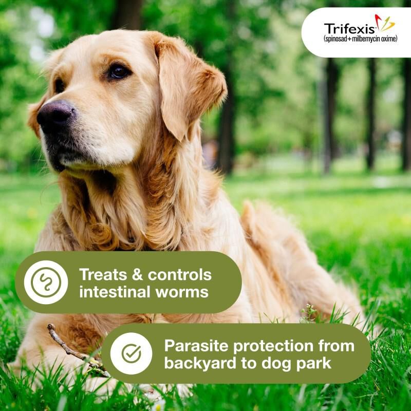 Trifexis Chewable Tablets for Dogs 60.1-120 lbs Brown, 12 Month Supply