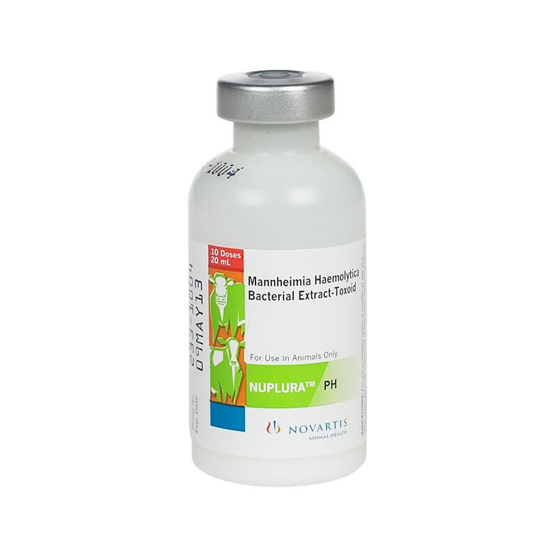 Nuplura PH